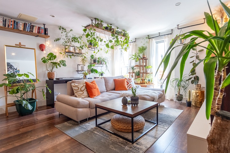 1 bedroom ground floor flat