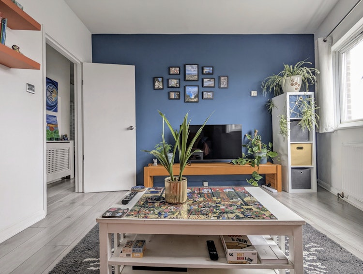 1 bedroom flat