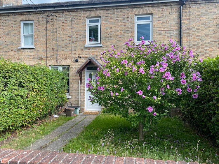 3 bedroom terraced house