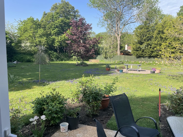 4 bedroom detached bungalow
