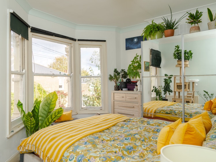 1 bedroom flat