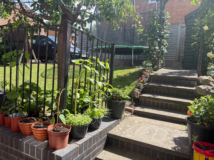 3 bedroom semi-detached house